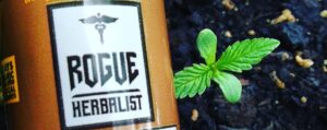 cbd oil picture