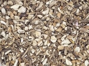 Angelica Root
