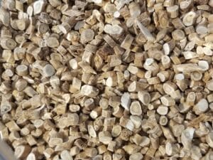 astragalus root