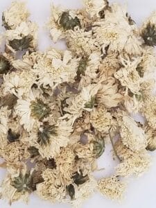 Chrysanthemum
