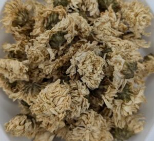 Chrysanthemum Flower