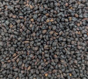Elderberries