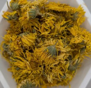 Calendula Flower