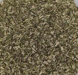 hyssop herb