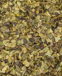 Guayusa leaves