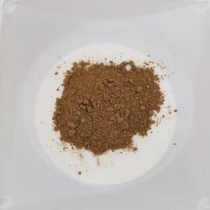 Cordyceps extract powder