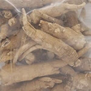 american ginseng roots wisconsin