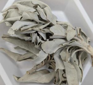 White Sage