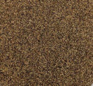 Ajwain Seed