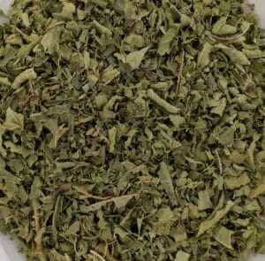 Lemon Verbena