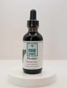 Bottle of Rogue Herbalist Plantain Tincture 2 oz made from fresh broadleaf plantain in 95% cane alcohol